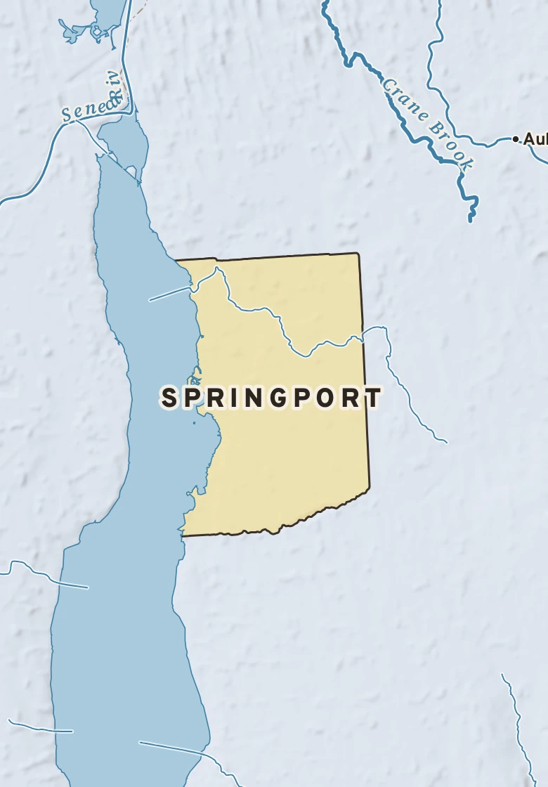 Atlas plate of Springport, New York.