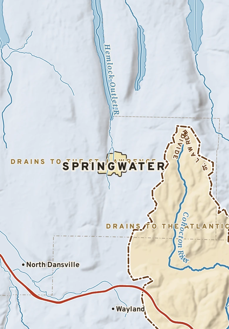 Atlas plate of Springwater, New York.