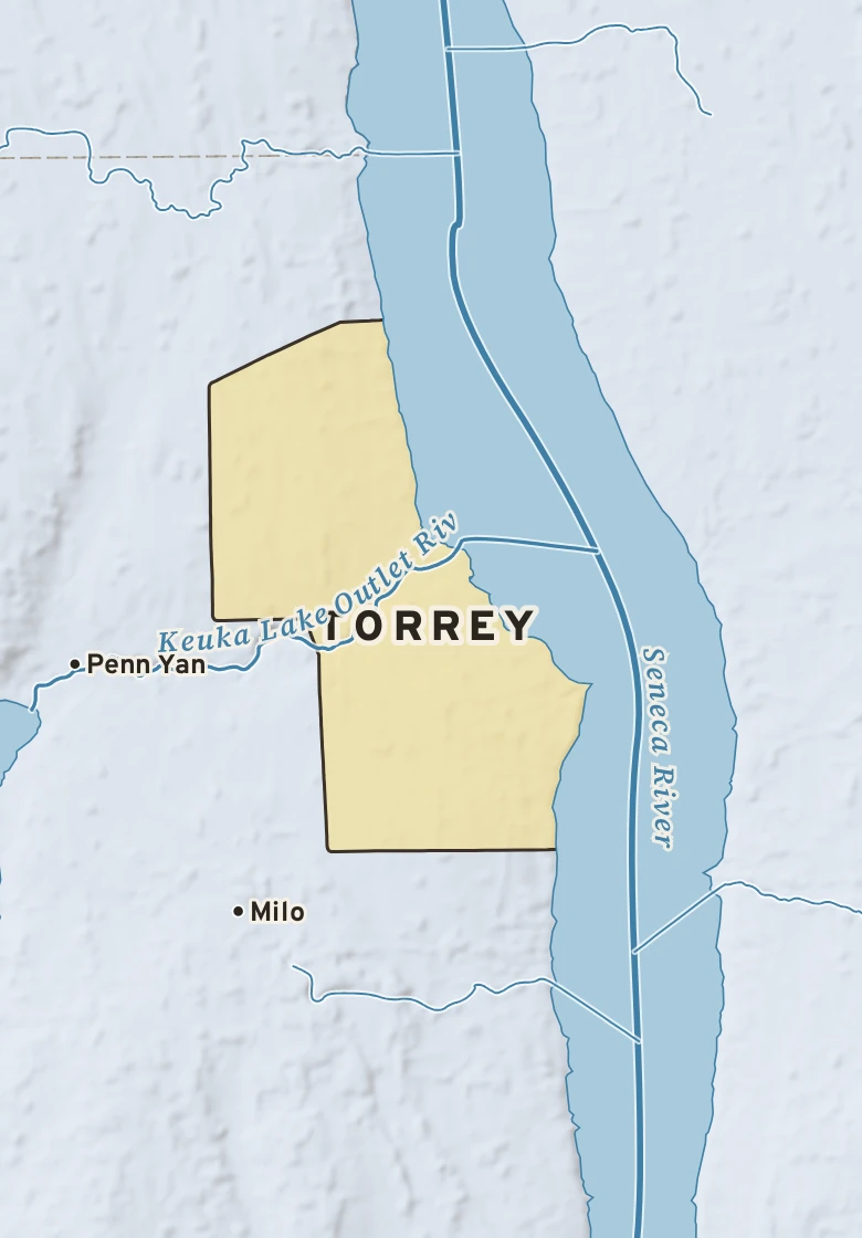 Atlas plate of Torrey, New York.