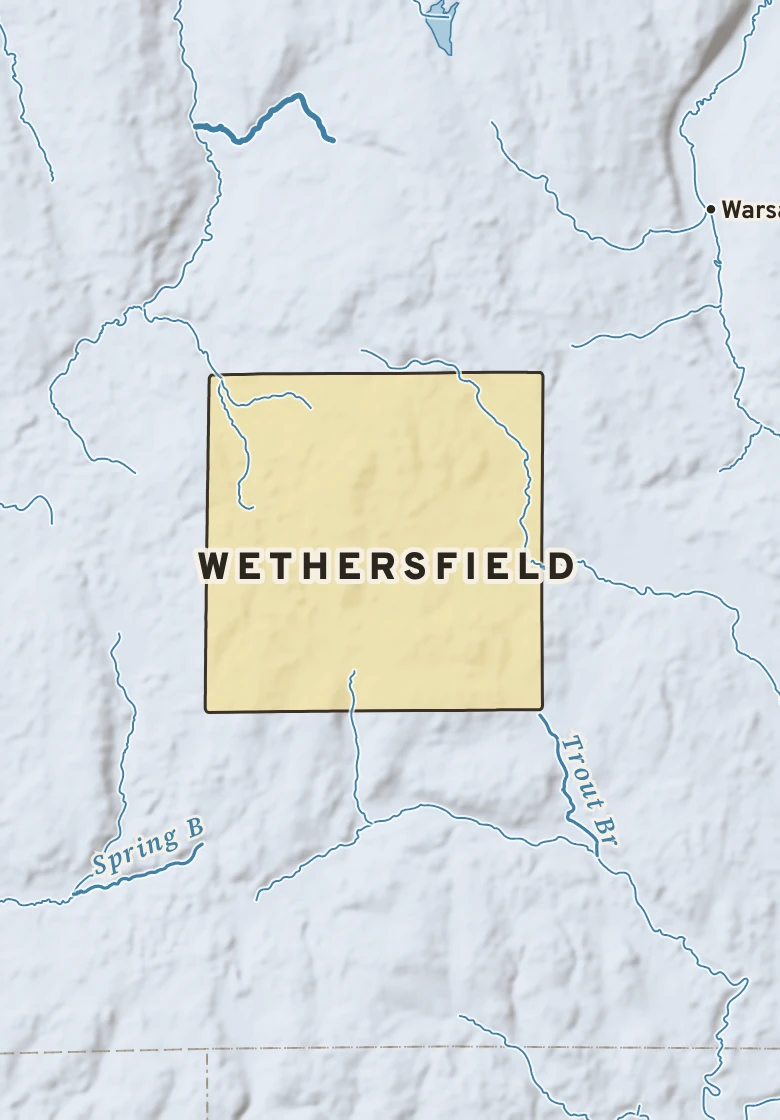 Atlas plate of Wethersfield, New York.