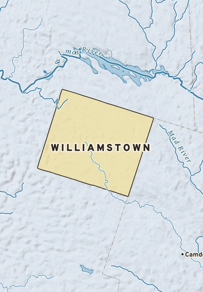 Atlas plate of Williamstown, New York.