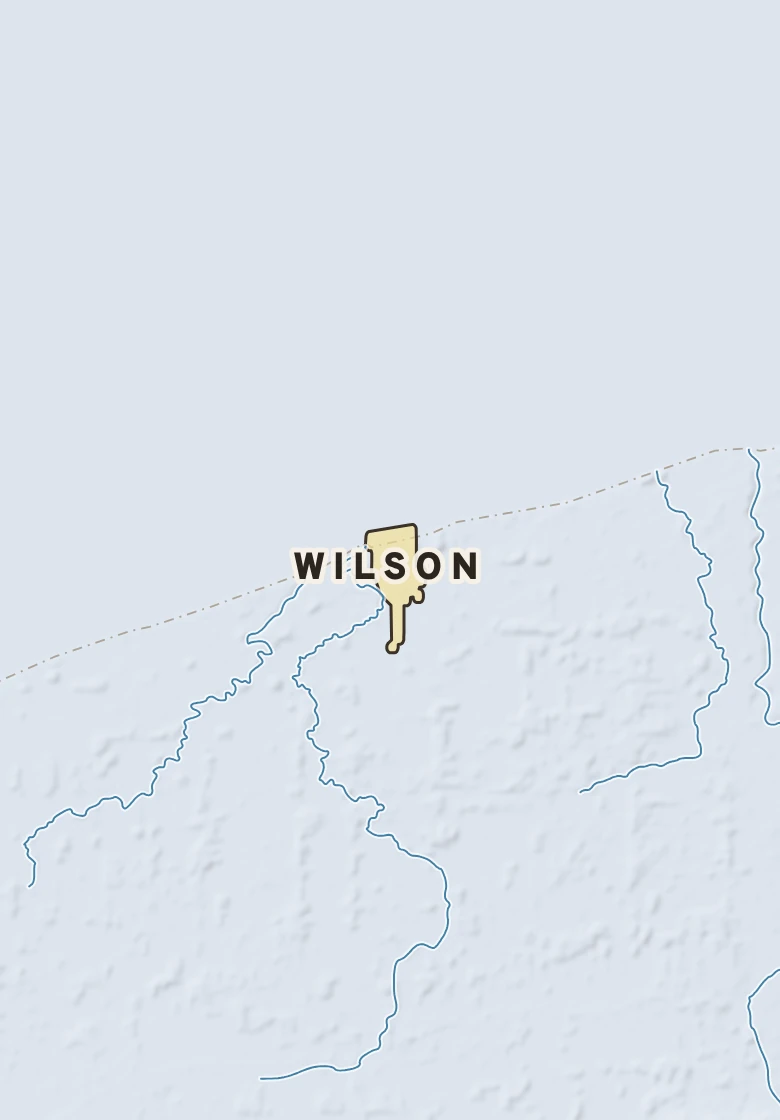Atlas plate of Wilson, New York.