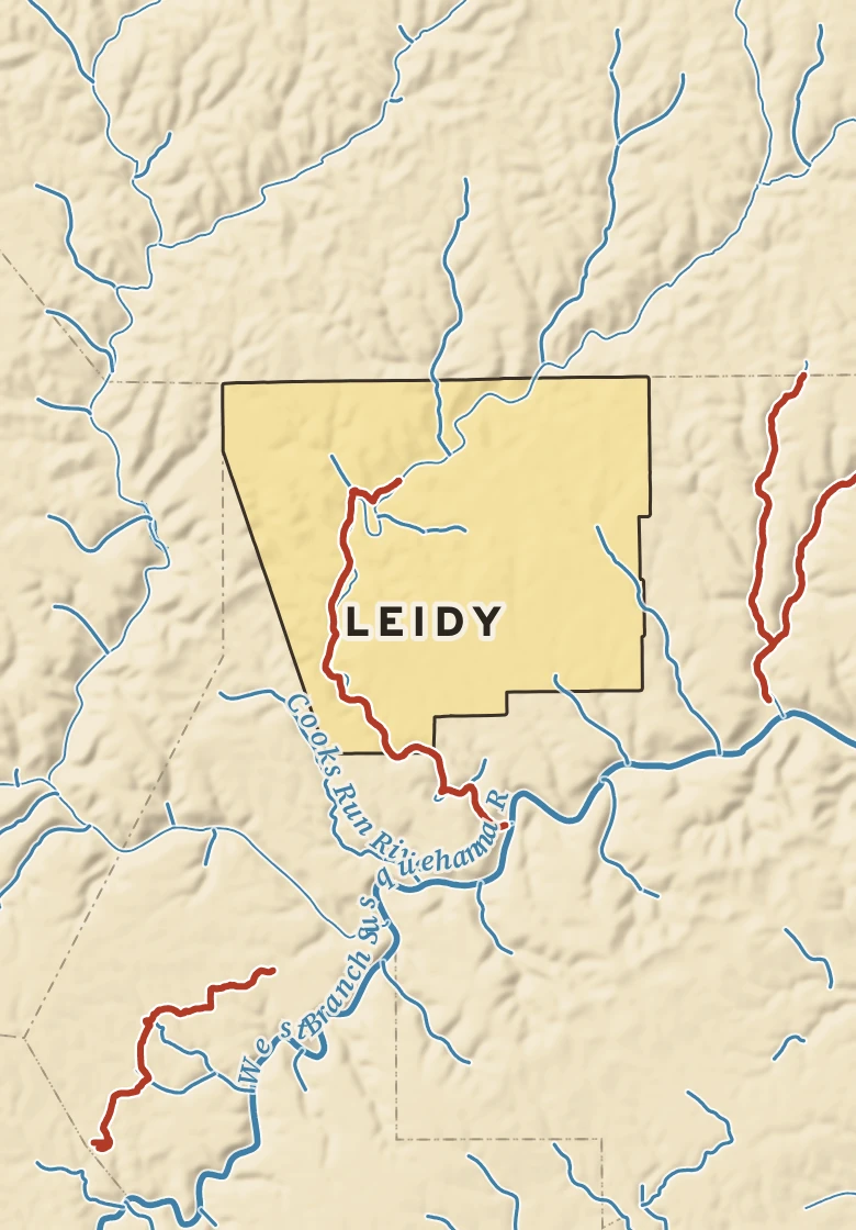 Atlas plate of Leidy, Pennsylvania.