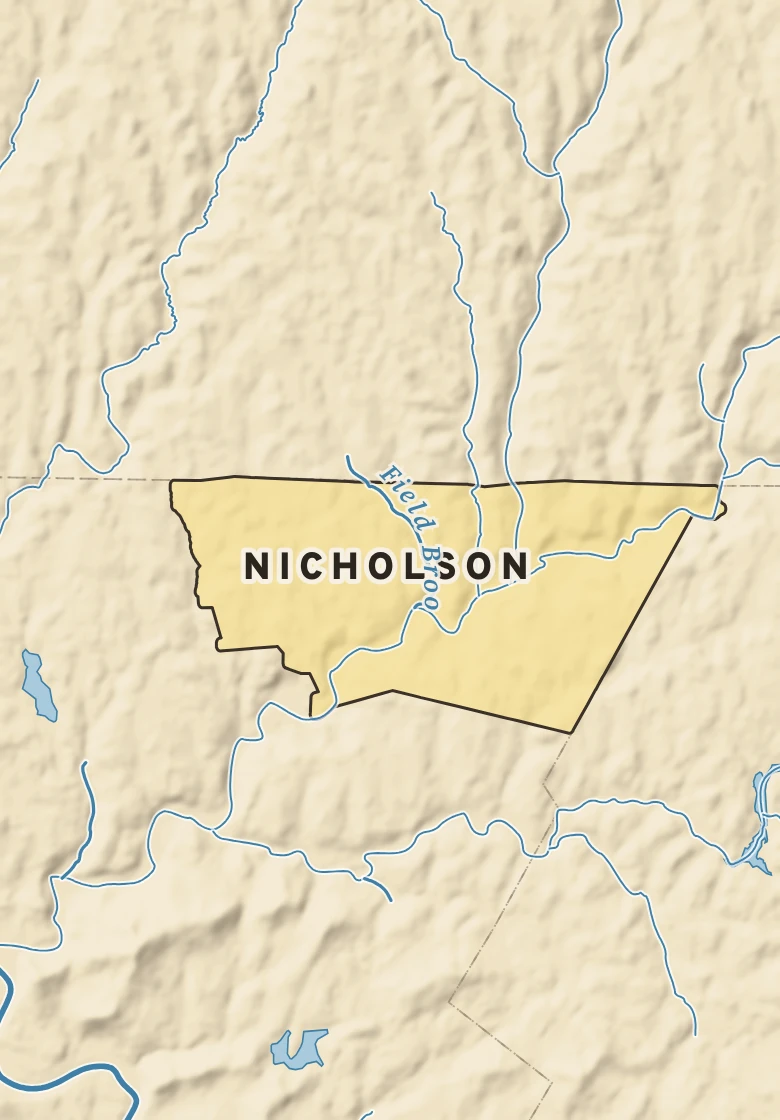 Atlas plate of Nicholson, Pennsylvania.
