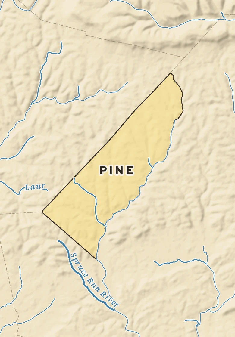 Atlas plate of Pine, Pennsylvania.