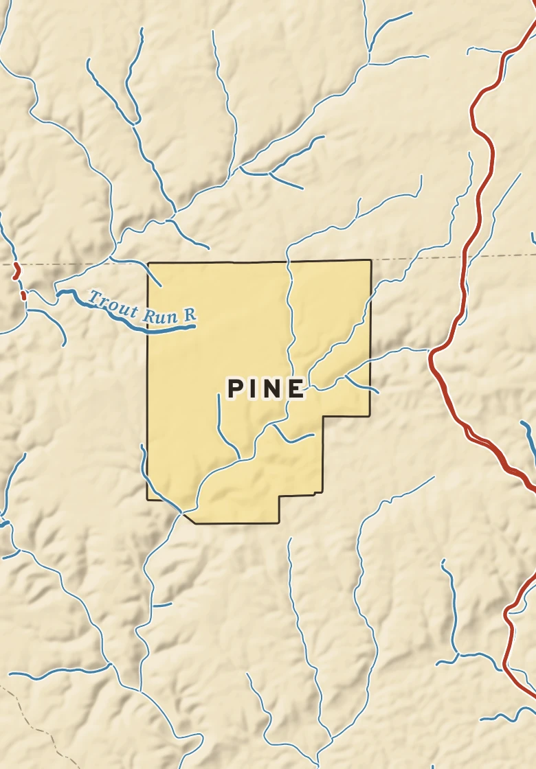 Atlas plate of Pine, Pennsylvania.