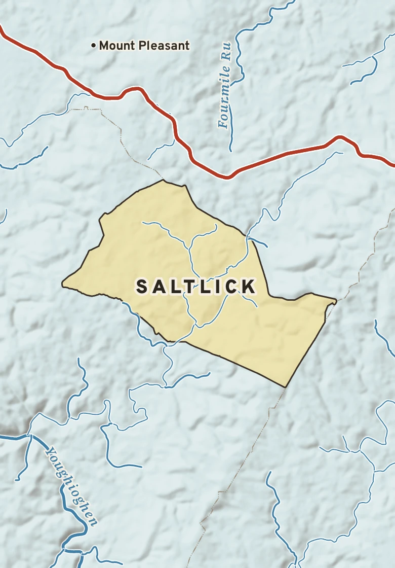 Atlas plate of Saltlick, Pennsylvania.