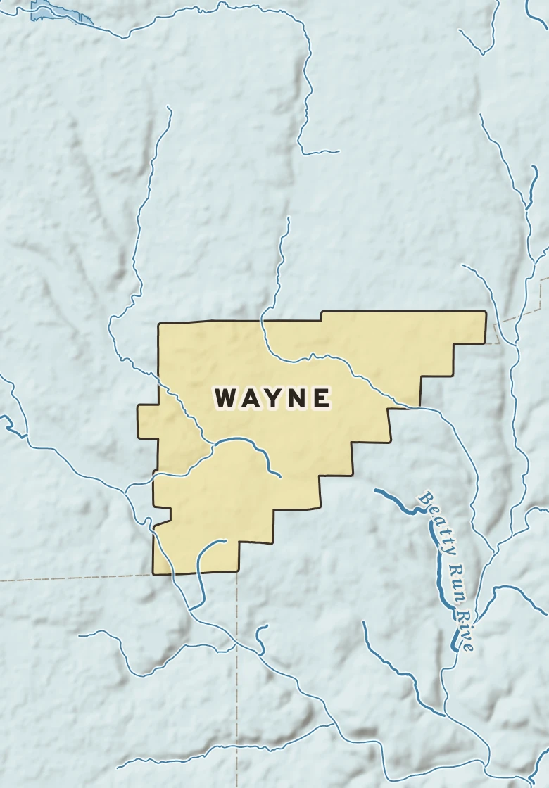 Atlas plate of Wayne, Pennsylvania.