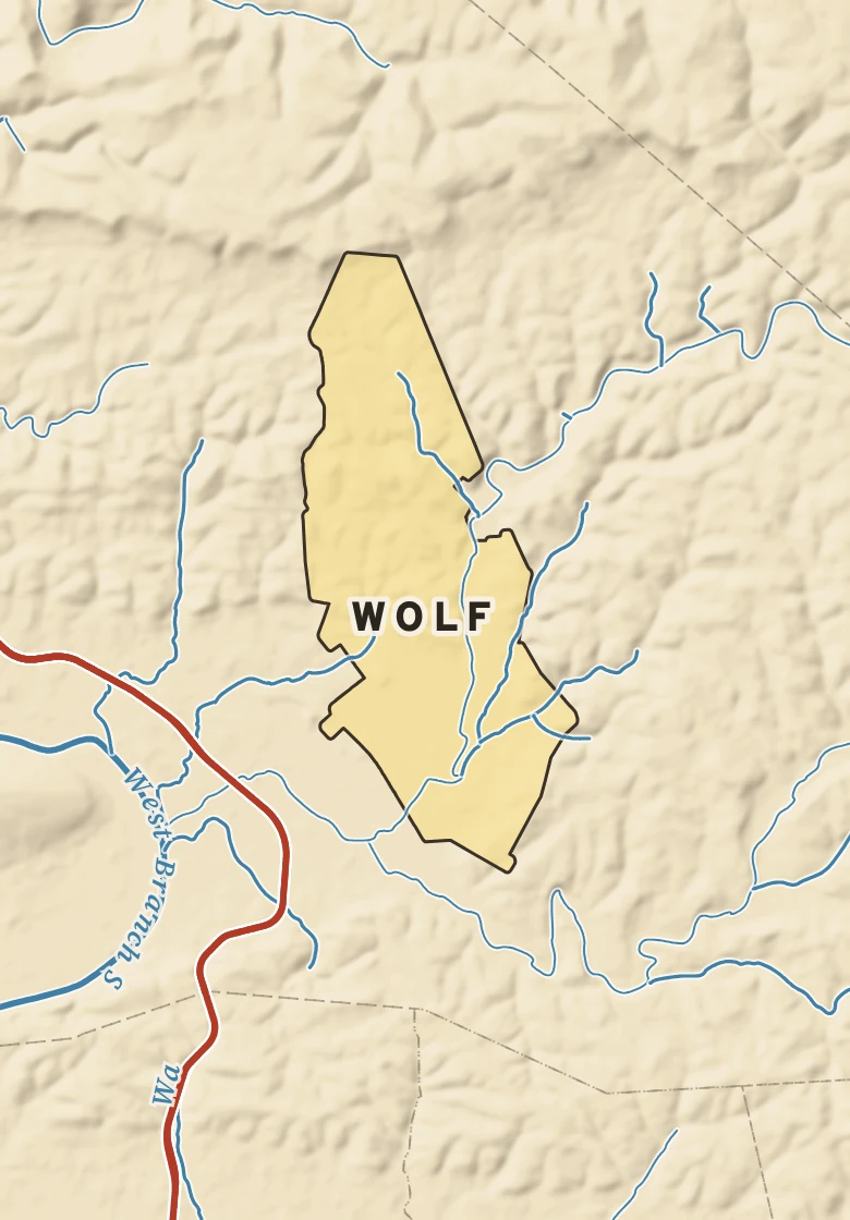 Atlas plate of Wolf, Pennsylvania.
