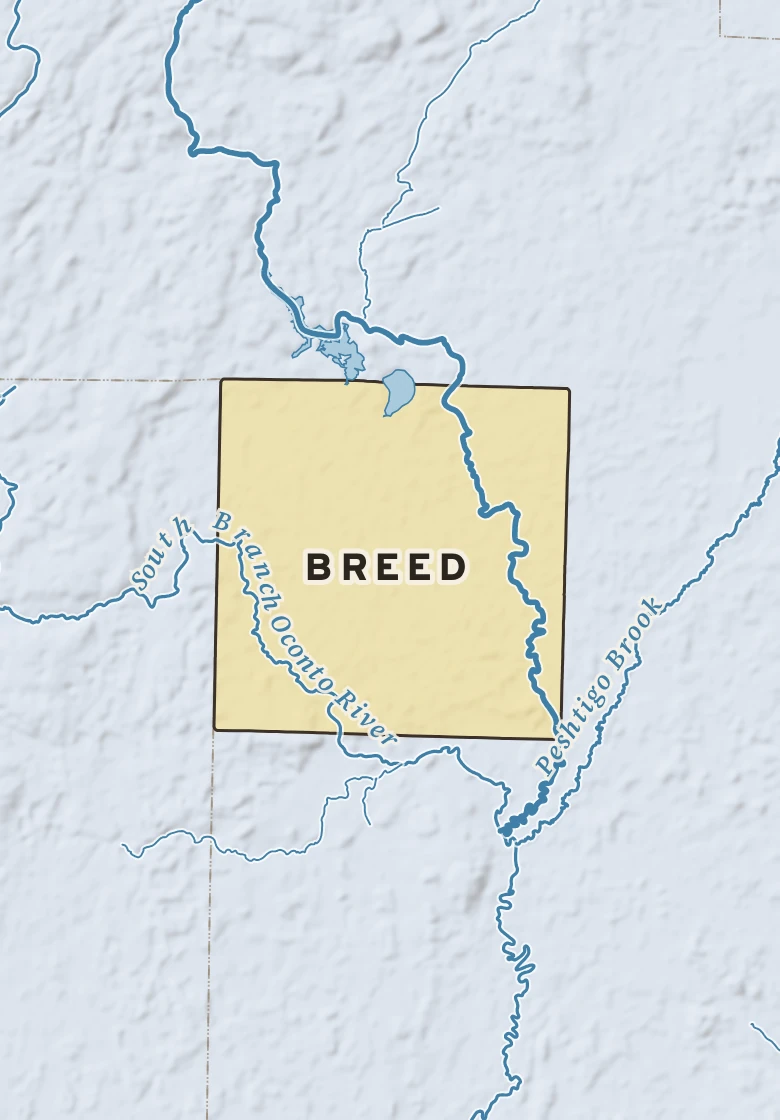 Atlas plate of Breed, Wisconsin.
