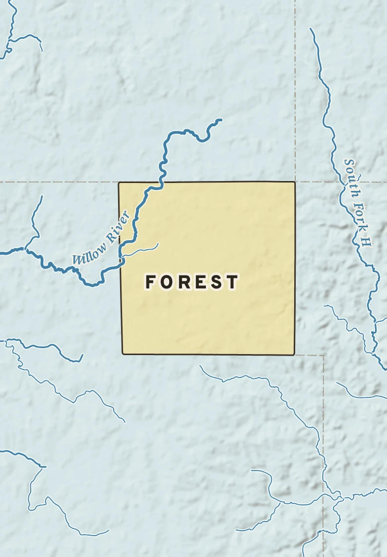 Atlas plate of Forest, Wisconsin.