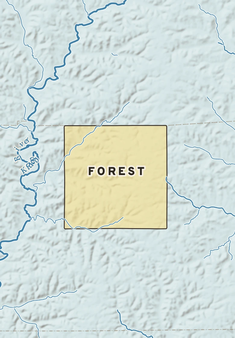 Atlas plate of Forest, Wisconsin.