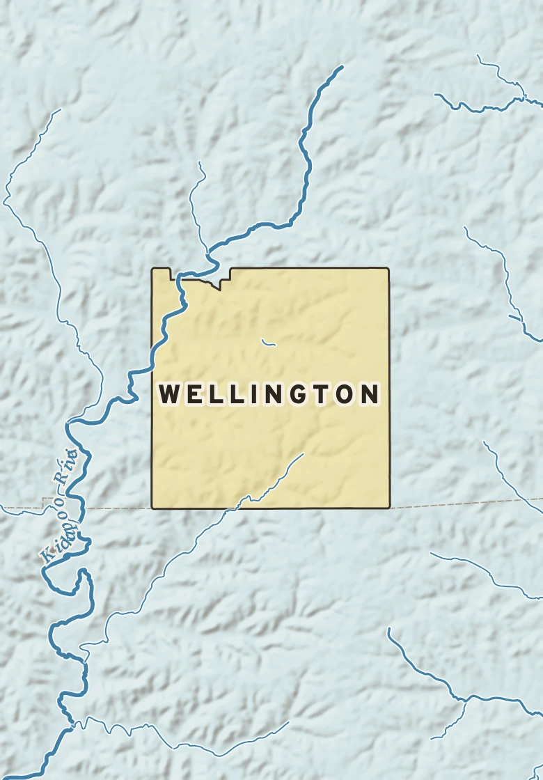Atlas plate of Wellington, Wisconsin.